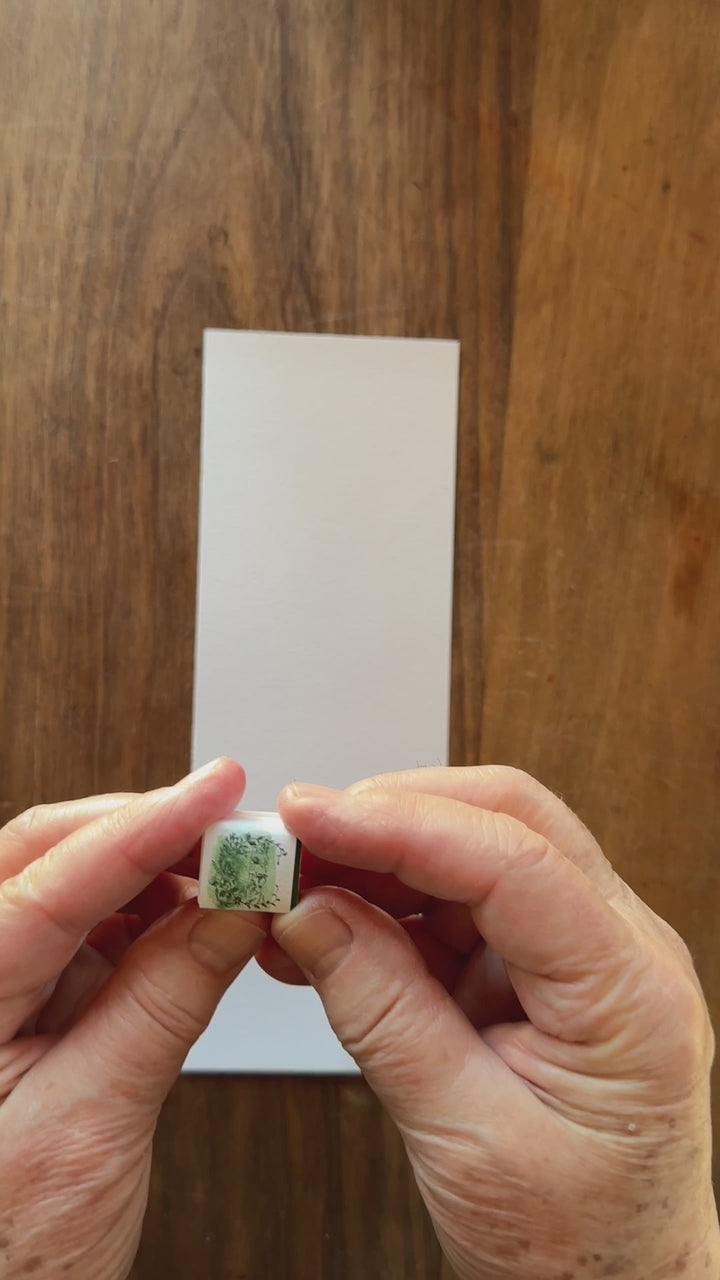 Sage green watercolor