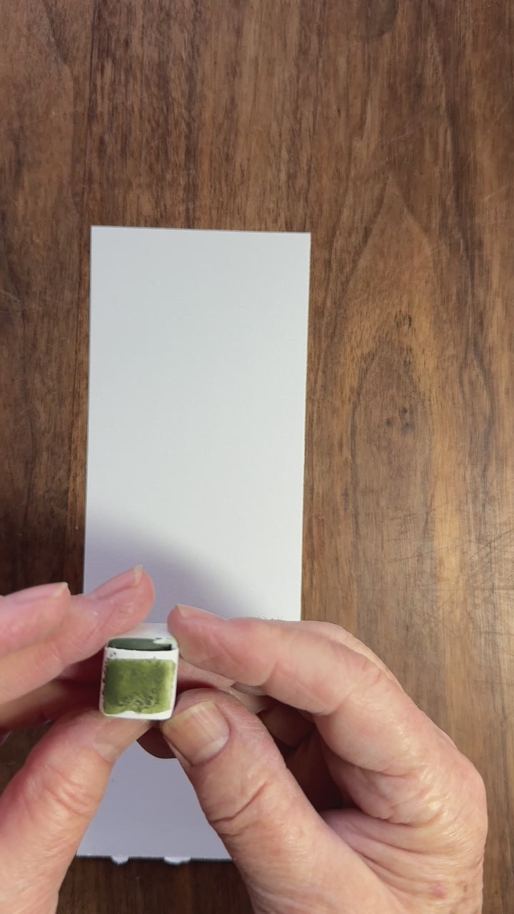 Verona watercolor paint