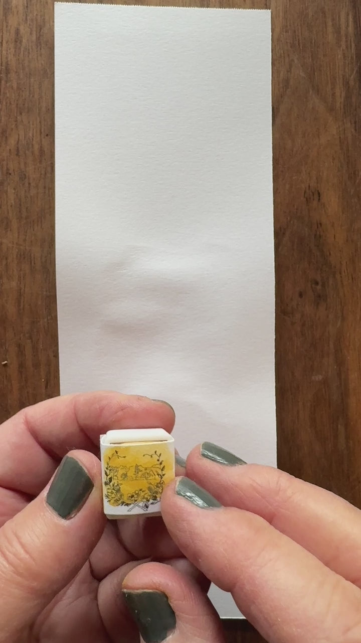 Mustard watercolor paint