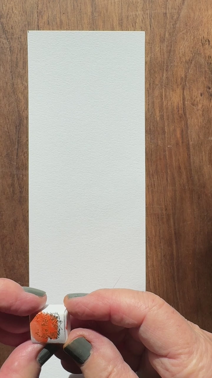 Marigold watercolor paint