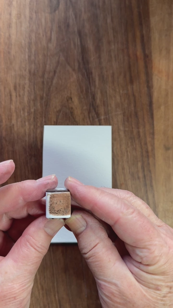 Burnt Umber watercolor swatch